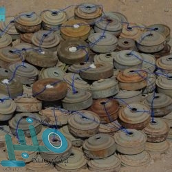 “الصحة”: تسجيل 958 إصابة جديدة بفيروس “كورونا”.. و 1047 حالة تعافي