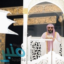 إحباط محاولة تهريب أكثر من 9 مليون قرص إمفيتامين مخدر مخبأة داخل شحنة ألواح خشبية