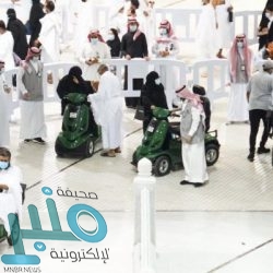 “العدل” تتيح الاطلاع إلكترونيا على جميع الأحكام المتعلقة بقضايا الإفلاس