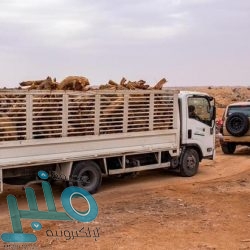 “التعاون الإسلامي” تدين بشدة محاولة الحوثي استهداف المدنيين في خميس مشيط بطائرة مفخخة