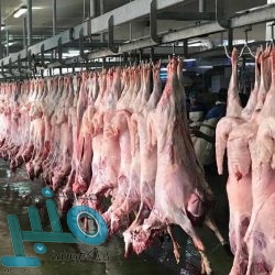 المملكة تواصل عطاءات الخير عبر برنامج خادم الحرمين الشريفين لتفطير الصائمين في المالديف