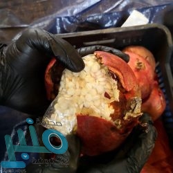 من رسائل جلالة الملك المؤسس عبدالعزيز ونائبه في الحجاز الأمير فيصل بن عبدالعزيز لبعض شيوخ قبائل العرضيات