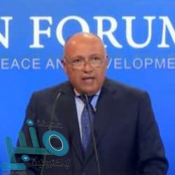 دوري أبطال أوروبا: ريال مدريد يصعق ليفربول.. ومانشستر سيتي يُسقط بروسيا دورتموند