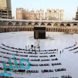 «الأرصاد» عن طقس السبت: أمطار رعدية مصحوبة بزخات برد على بعض المناطق