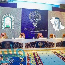 الدكتور الربيعة: مركز الملك سلمان للإغاثة يصل إلى 59 دولة ويدعم 14 قطاعا خيريا وإنسانيا