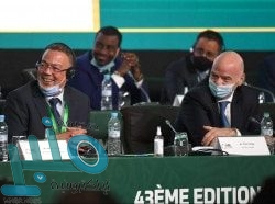 دراسة: تناول الفطر يقلل من خطر الإصابة بالسرطان