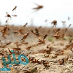 الكرملين: نؤيد نهج الأمير محمد بن سلمان بالقضايا العالمية