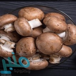 يشارك فيها 23 منتخبا عربيا.. موعد قرعة بطولة كأس العرب فيفا 2021‎