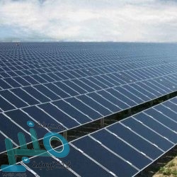 مركز الملك سلمان للإغاثة يدشن غدًا حملة لجمع التبرعات بعنوان “تعرف وساهم “