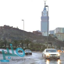 “الأمن الغذائي”: صرف (261) مليون ريال مستحقات الدفعة السادسة لمزارعي القمح المحلي