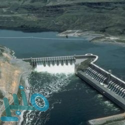 “الاتصالات” تستعرض الإجراءات النظامية لممارسة أنشطة «الخدمات البريدية» في المملكة