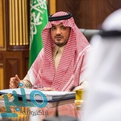 “البيئة” تبدأ تطبيق اللائحة التنفيذية لمقدمي الخدمات البيئية في المملكة