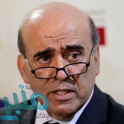 الأمم المتحدة تدعو مجلس الأمن لتحمل مسؤولياته بشأن قضية فلسطين