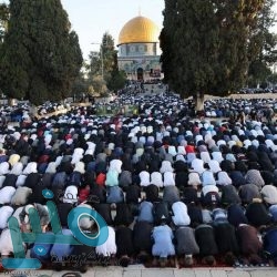 انخفاض سعر خام القياس العالمي “برنت” في التعاملات الآجلة