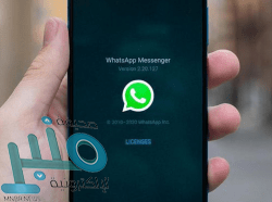 ليل يتوج بلقب الدوري الفرنسي‎