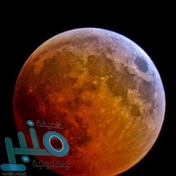 تعليم الباحة يقرّ 135 فعالية تربوية وتعليمية خلال الإجازة الصيفية