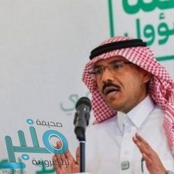 إيقاف 31 مخالفًا لنظام البيئة لارتكابهم مخالفات رعي