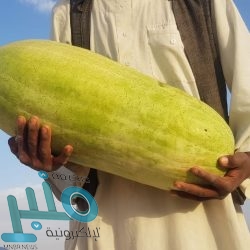 مدير عام منظمة الصحة العالمية يشيد بالدور الريادي الإنساني للمملكة