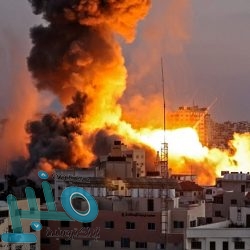 تعرف على الفرق بين البروتين “الحيواني والنباتي”.. وهذه فوائده