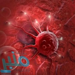 “Show Mode”.. ميزة جديدة من أمازون لتحويل أجهزة الكمبيوتر لشاشة عرض ذكية‎