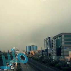 أمين الباحة يطلع على جاهزية المسالخ وأسواق الماشية استعدادًا لعيد الفطر