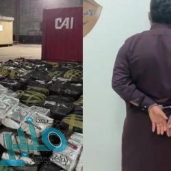 “الصحة”: تسجيل 1039 إصابة جديدة بفيروس “كورونا”.. و 1061 حالة تعافي