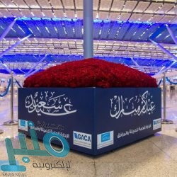 تعرف على الفرق بين البروتين “الحيواني والنباتي”.. وهذه فوائده