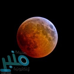 “مرور الطائف” يضبط شخصاً وثق قيادته لمركبة بسرعة عالية معرّضاً حياة الآخرين للخطر