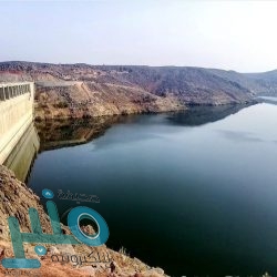 هيئة الاتصالات تدعو المسافرين إلى معرفة الحقوق المتعلقة بخدمات التجوال الدولي