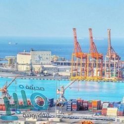 وزير الخارجية يتلقى اتصالًا هاتفيًا من نظيره المصري