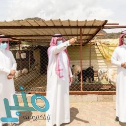 حالة الطقس المتوقعة ليوم الأربعاء في المملكة