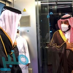 مصر تدين مواصلة ميليشيا الحوثي أعمالها الإرهابية تجاه أراضي المملكة