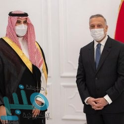 وزير الخارجية يستقبل نظيره التركي