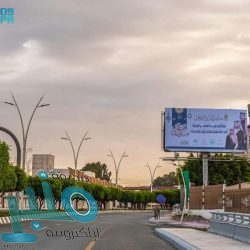 “الإحصاء”: 329 ألف تأشيرة عمل خلال الربع الرابع 2020.. 61% منها للقطاع الخاص