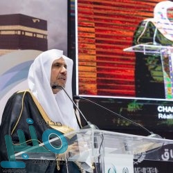 التعاون الإسلامي تشيد بجهود الدول الأعضاء لوقف العدوان الإسرائيلي على قطاع غزة