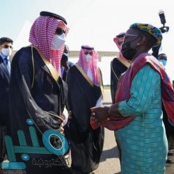 مسؤول بوزارة الحج: قريبا سيتم إعلان القوائم النهائية لمرشحي مجالس شركات أرباب الطوافة