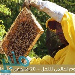 الشؤون الإسلامية تعيد افتتاح 17 مسجدا بعد تعقيمها في 6 مناطق