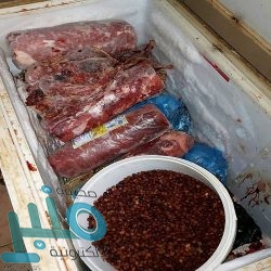 مركز الملك سلمان للإغاثة يختتم مشروع كسوة عيد الفطر للأطفال الأيتام في لبنان