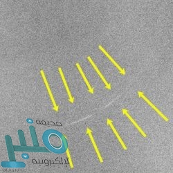 يومان خالدان في تاريخ إمارة القنفدة