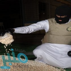 أول رد سعودي رسمي على تصريحات وزير خارجية لبنان المسيئة للمملكة وشعبها ودول مجلس التعاون