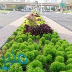 مستجدات فيروس كورونا حول العالم