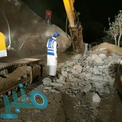 مستوحاة من القريدس.. ابتكار كاميرا لتصوير الأورام السرطانية بوضوح خلال الجراحة