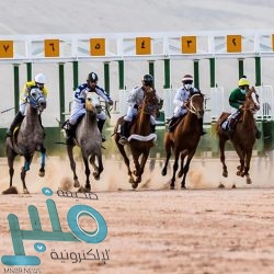 متحدث “التعليم الجامعي” يوضح مدى إلزامية حضور الطلاب للجامعات والمدارس بالعام الدراسي المقبل