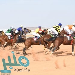 وزير الداخلية يصل ألمانيا