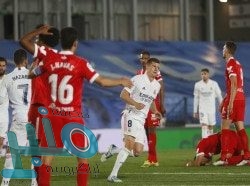 ميناء جازان يستقبل أكبر شحنة مواشي أوروبية