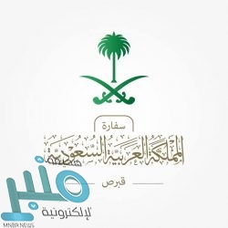 التعاون الإسلامي تشيد بجهود الدول الأعضاء لوقف العدوان الإسرائيلي على قطاع غزة