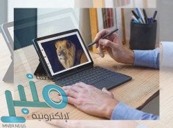 الدوري الإنجليزي ينوي عودة كاملة للجماهير إلى الملاعب الموسم المقبل