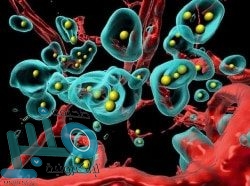 رسميًا.. كريم بنزيما يعود إلى منتخب فرنسا في بطولة “يورو 2020”