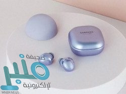 نيدفيد: رونالدو وبيرلو باقيان مع يوفنتوس