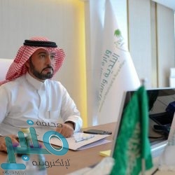 حرس الحدود يحبط محاولات تهريب (29) طنًّا من القات و(490) كيلوجرامًا من الحشيش المخدر وأكثر من (1.5) مليون قرص إمفيتامين عبر حدود المملكة